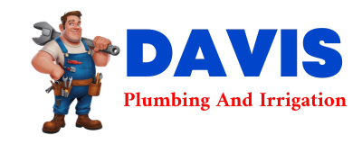 Trusted plumber in SALMON